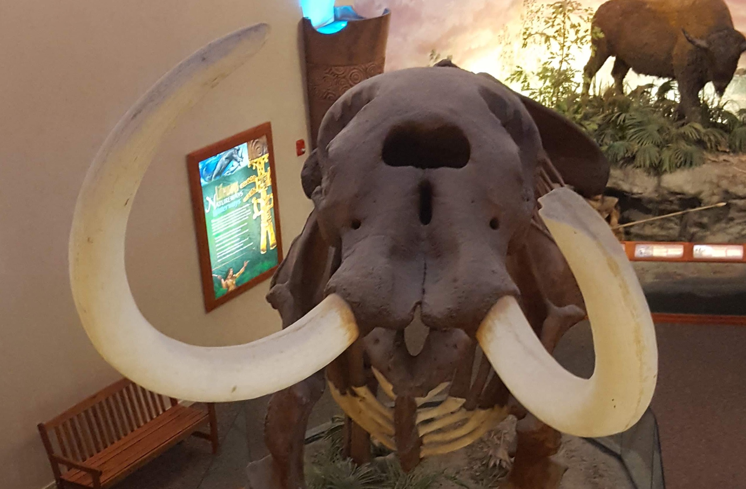 The Bishop Museum Of Science And Nature The Tourist Lifestyle