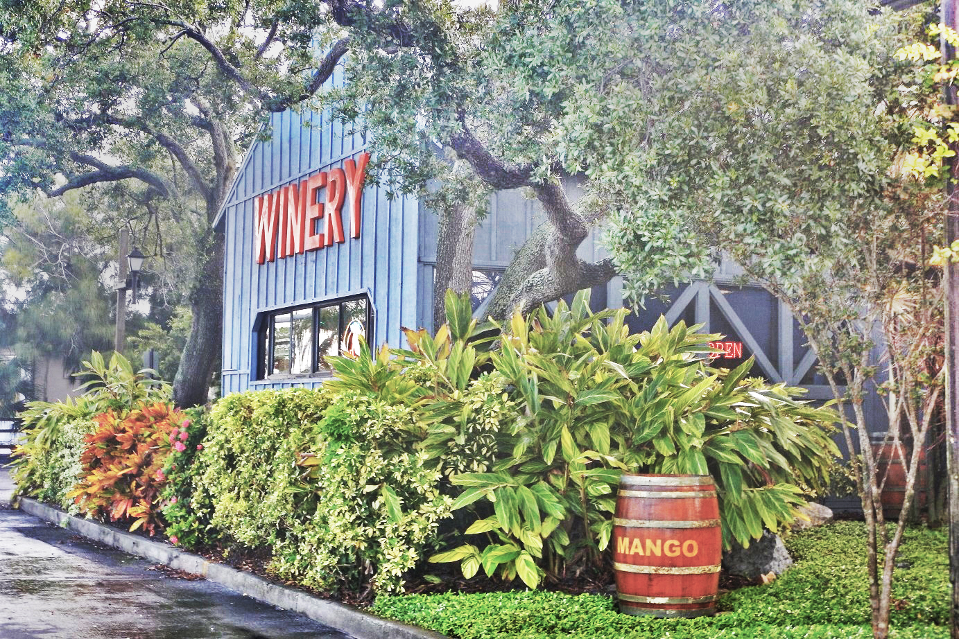 Florida Orange Groves Winery The Tourist Lifestyle