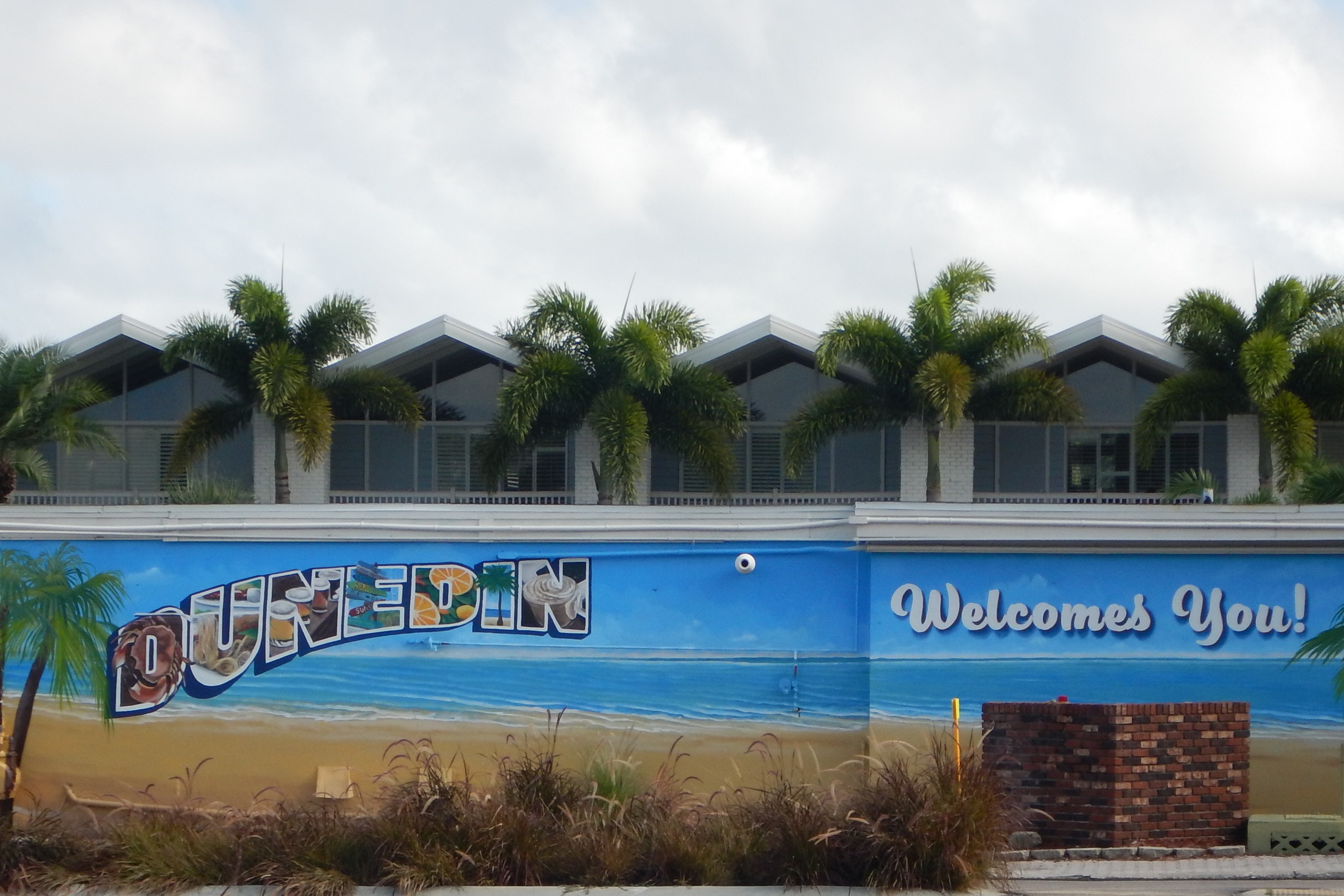 Dog Day in Dunedin The Tourist Lifestyle