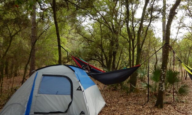 Withlacoochee River Park Primitive Camping
