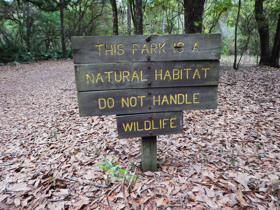 Do Not Handle Wildlife